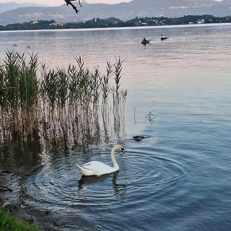 Il Campo Sul 2